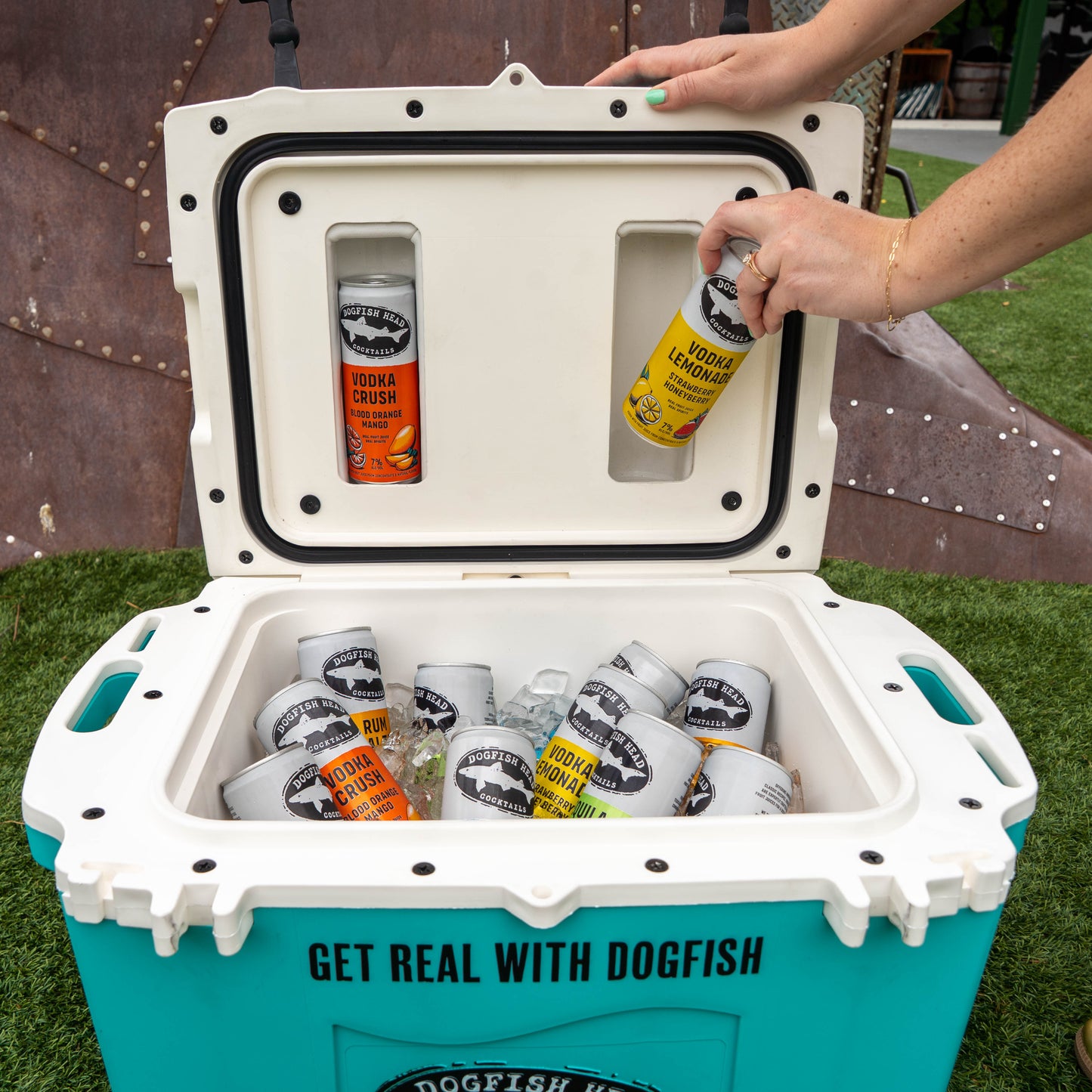 Teal and white cooler with Dogfish Head beer bottles on a grassy surface