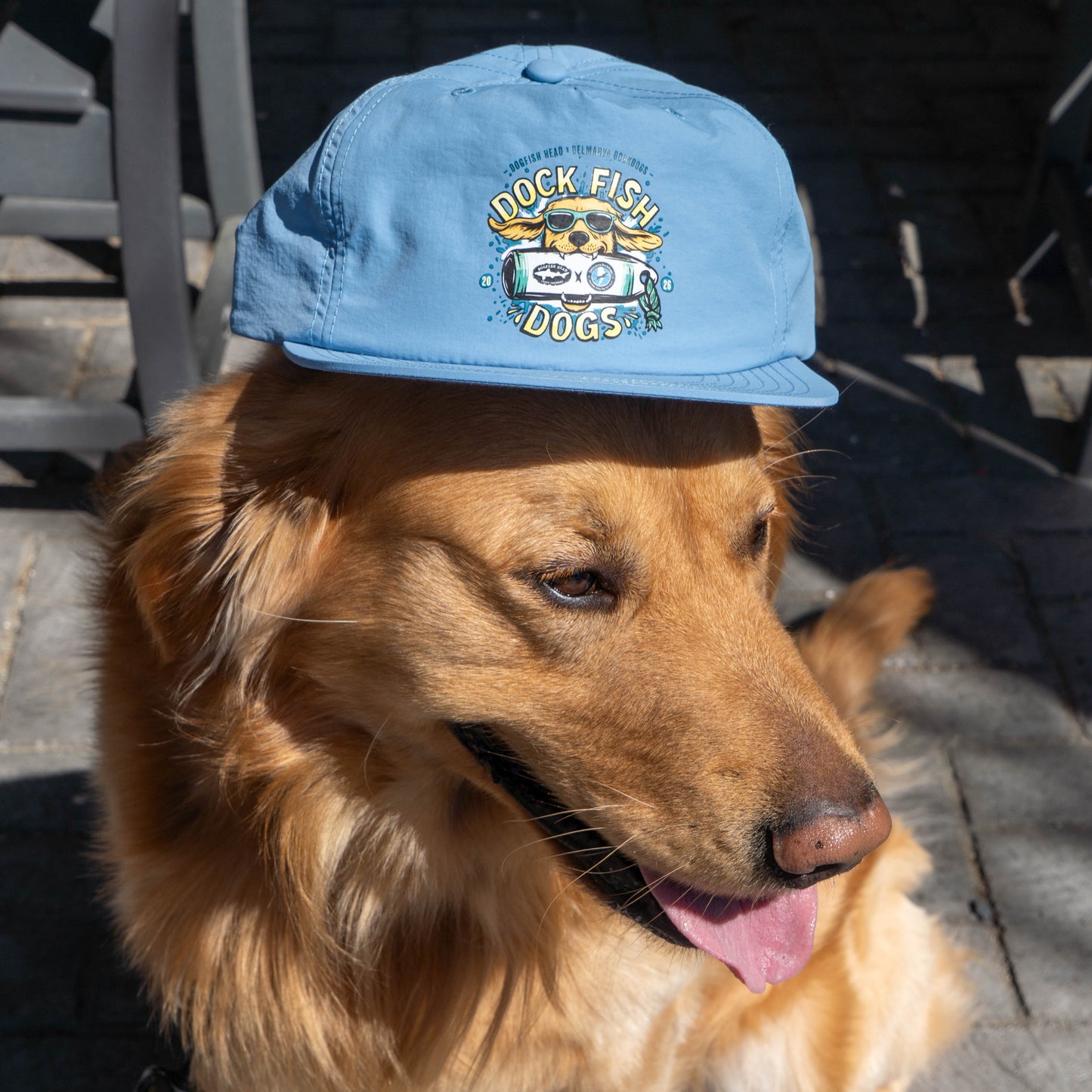 A golden retriever sits outdoors wearing the Dock Dogs Carolina Blue Surf Hat by GO WEST T-SHIRT COMPANY, tongue out and in the sunlight, with playful "Dock Fish Dogs" illustrations on the hat.