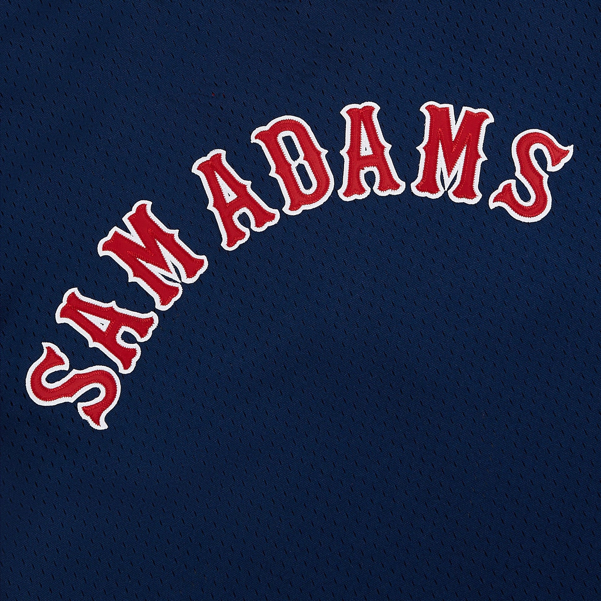 Red 'Sam Adams' text on a dark blue background