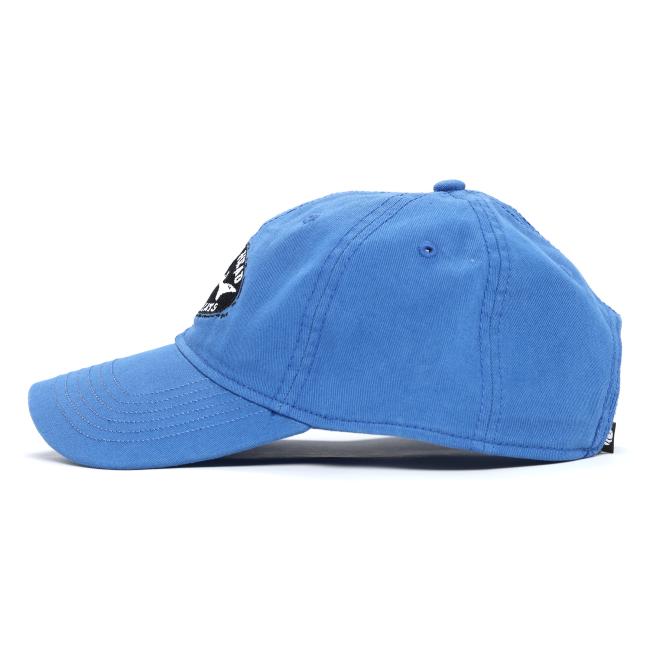 A side view of the Olive Brewings and Eats Hat from L2 Brands reveals its curved brim, stitched panels, and a partially visible black and white Dogfish Head Brewing patch on the front.