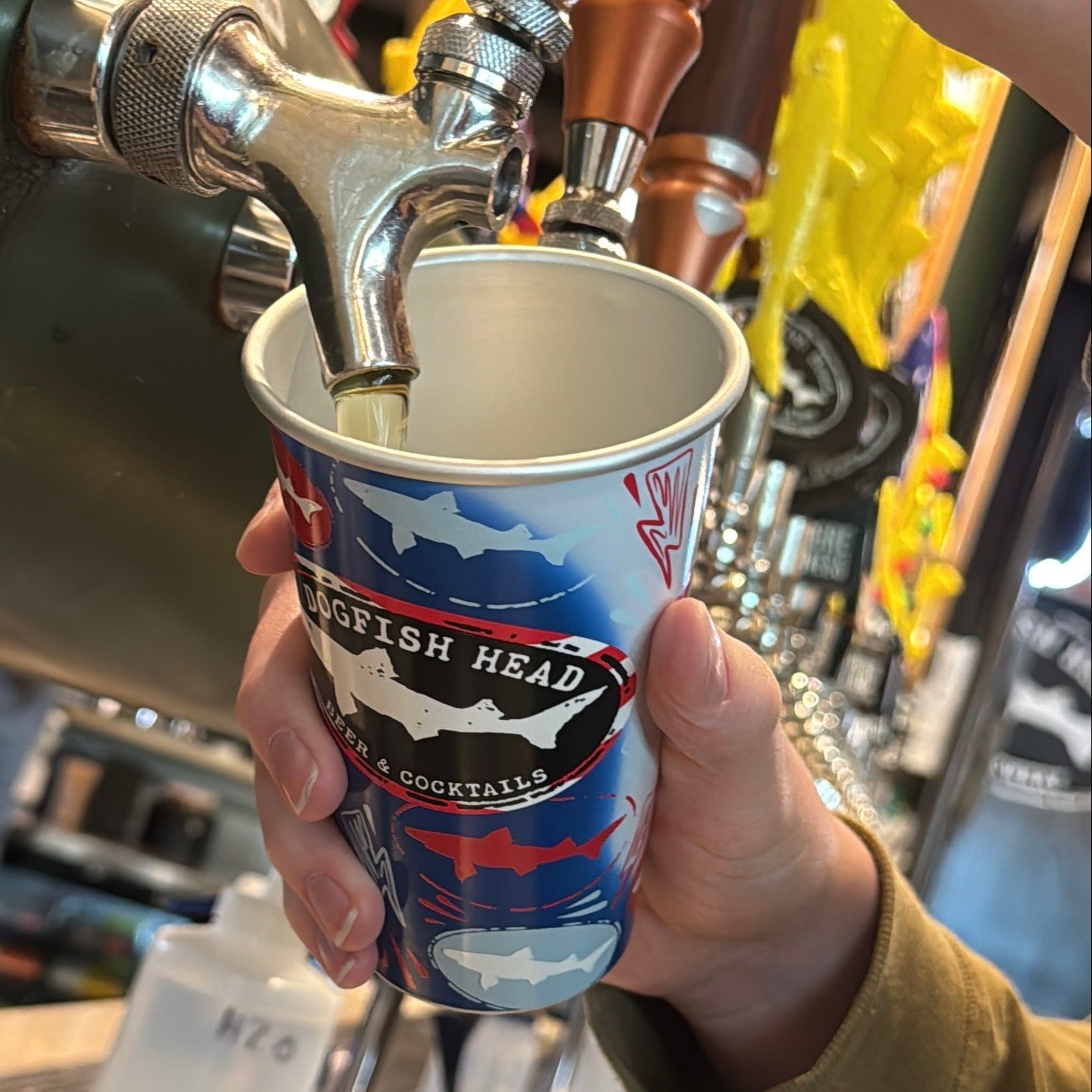 Bartender pouring draft beer from tap into Dogfish Head aluminum can glass, reusable pint cup with shark logo design at brewery bar station