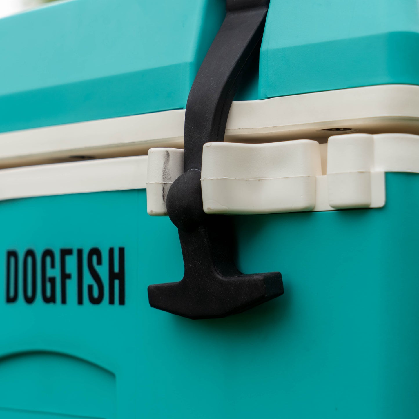 Teal cooler with 'Dogfish' branding and black handle