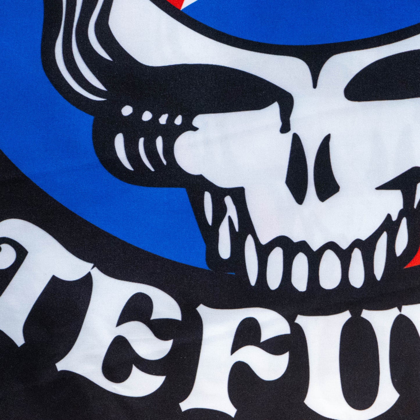 Skull with red accents and text on a blue background