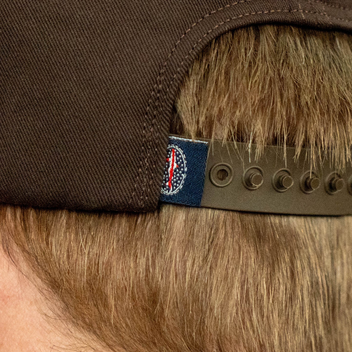 Adjustable snapback closure on Dogfish Head x Grateful Dead espresso foam baseball hat with woven side flag label.