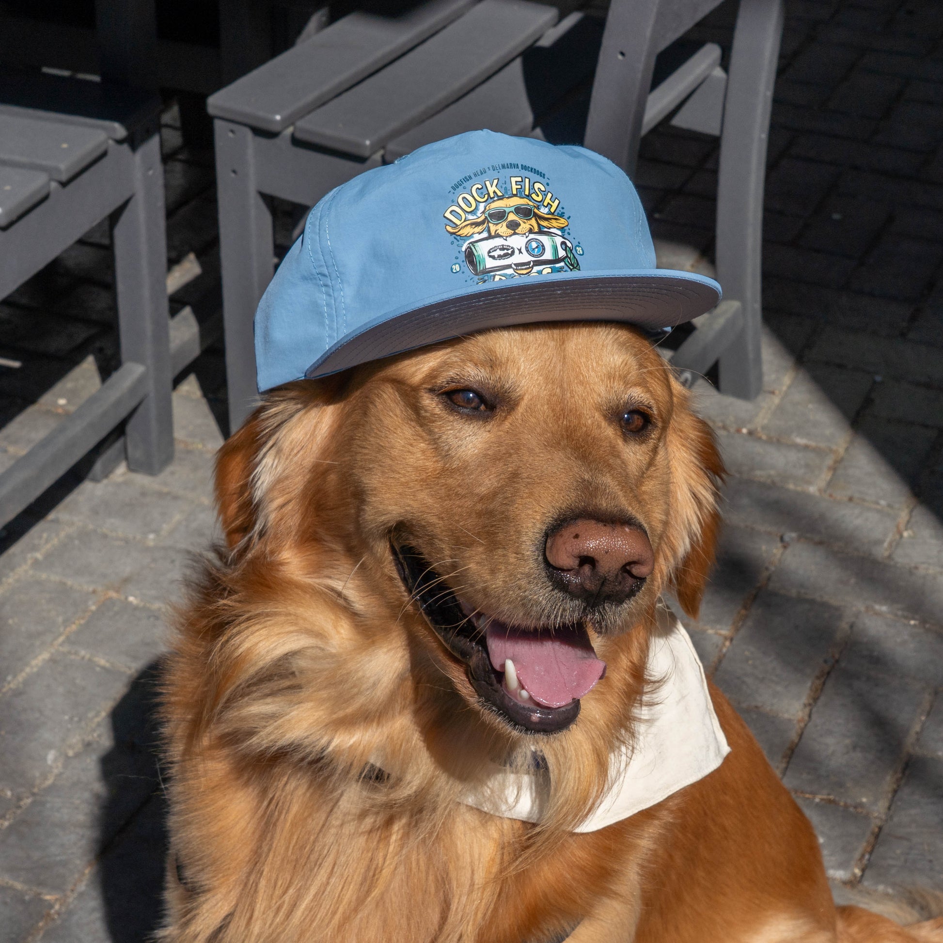 A golden retriever in a GO WEST T-SHIRT COMPANY Dock Dogs Carolina Blue Surf Hat and a white bandana sits on a sunlit patio, with gray outdoor furniture in the background.