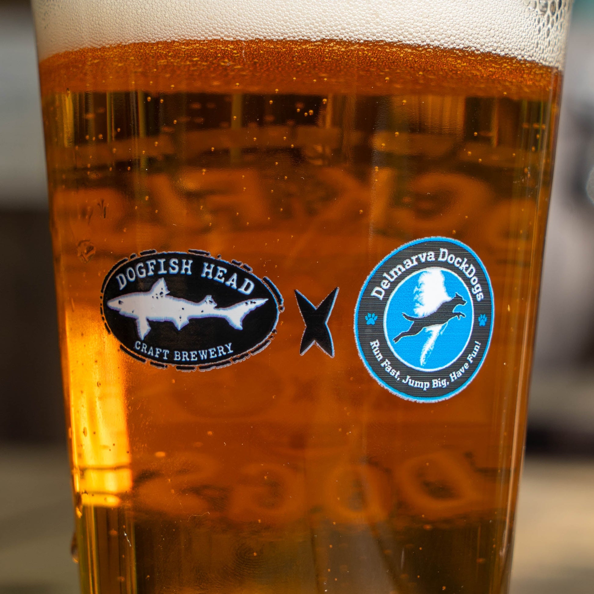 Classic black Dogfish Head logo and a Delmarva DockDogs logo on a pint glass filled with beer