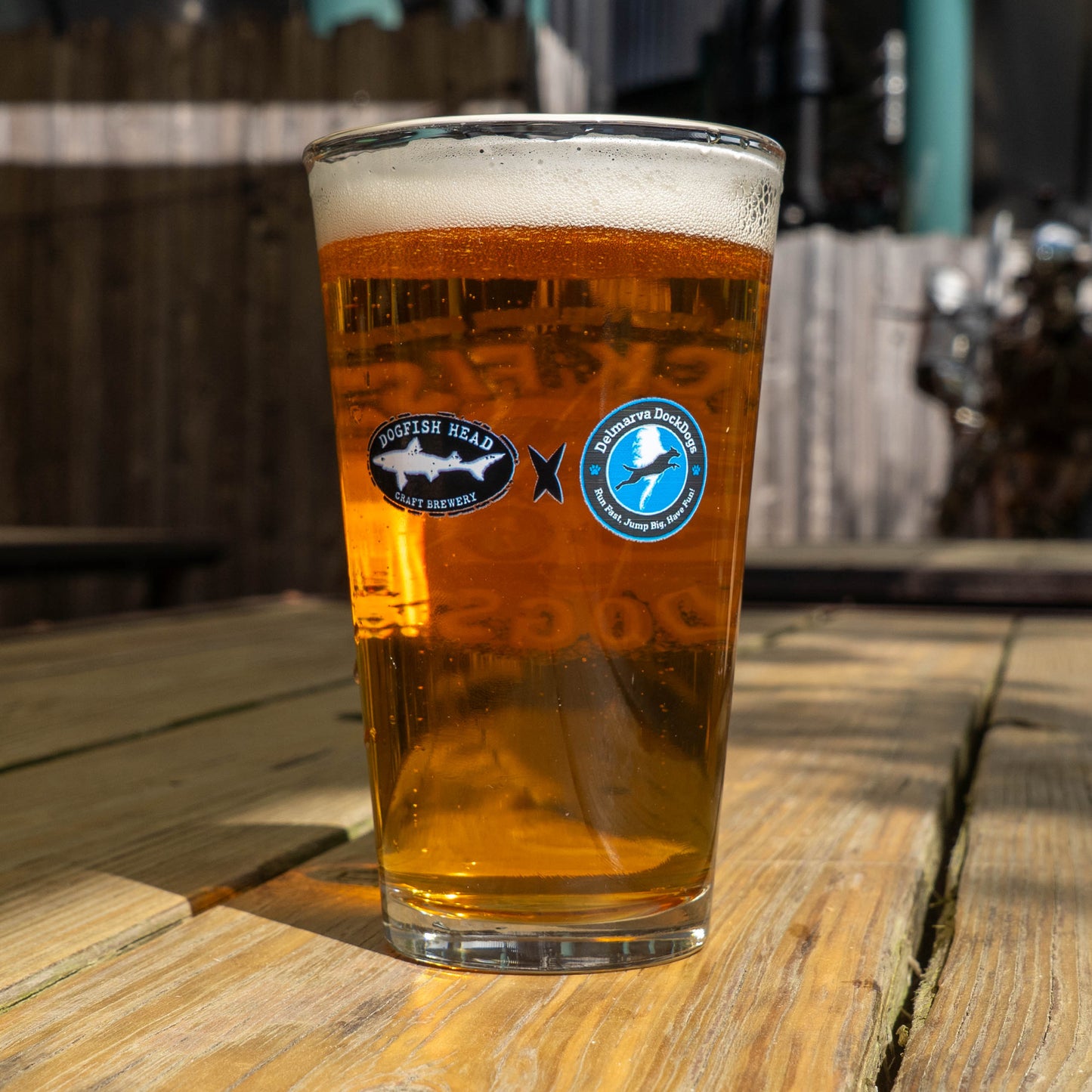Classic black Dogfish Head logo and a Delmarva DockDogs logo on a pint glass filled with beer