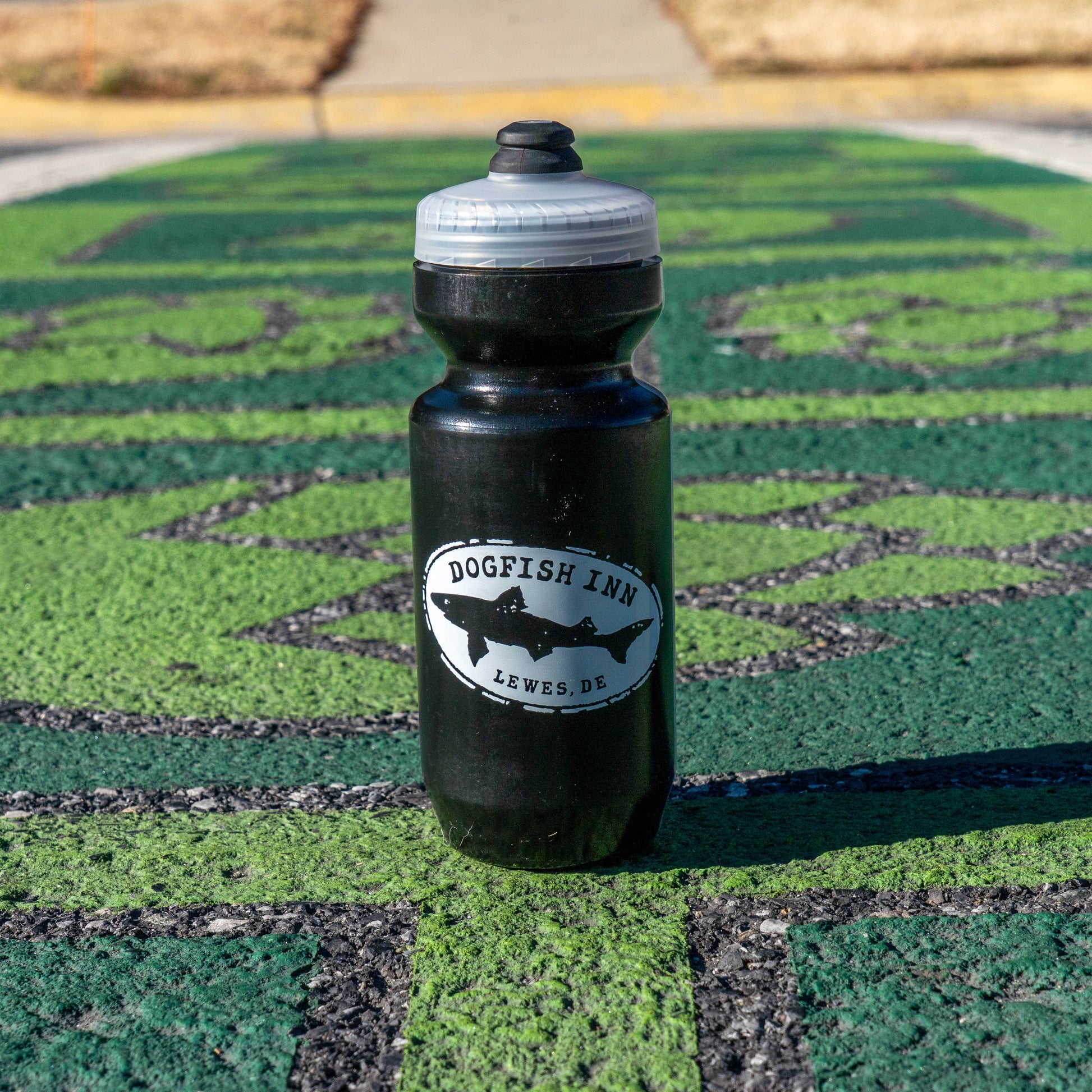 Black water bottle with Dogfish Inn logo on a green floor.