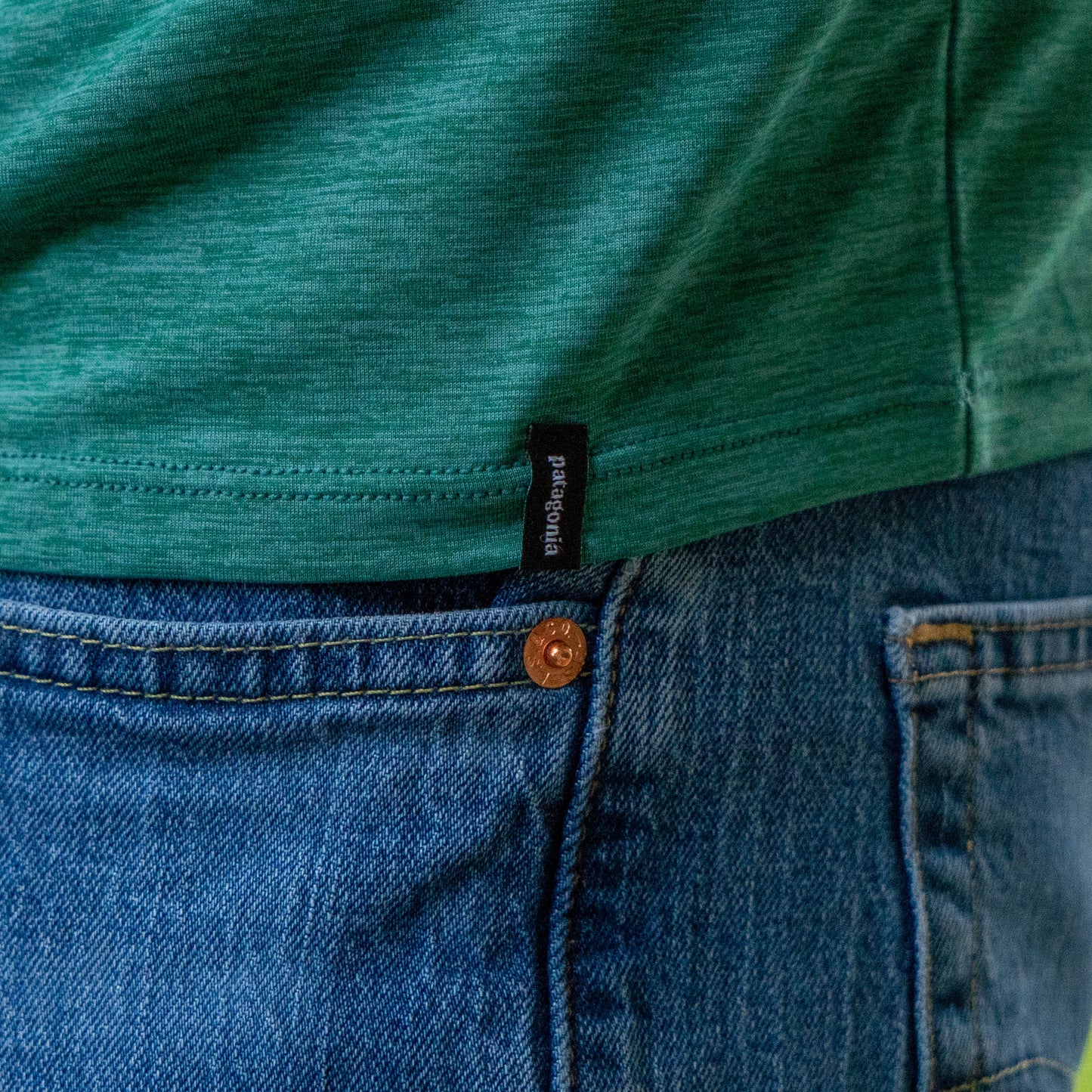 Close up of Patagonia tag on the bottom hem of the green shirt. 