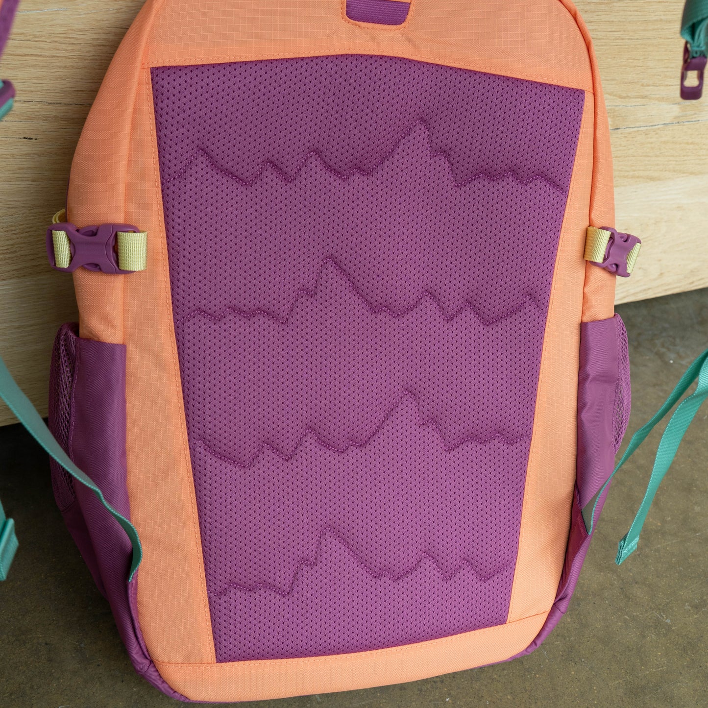 Back panel of Patagonia Refugio 26L backpack with breathable mesh padding and ergonomic support for all-day comfort and travel use