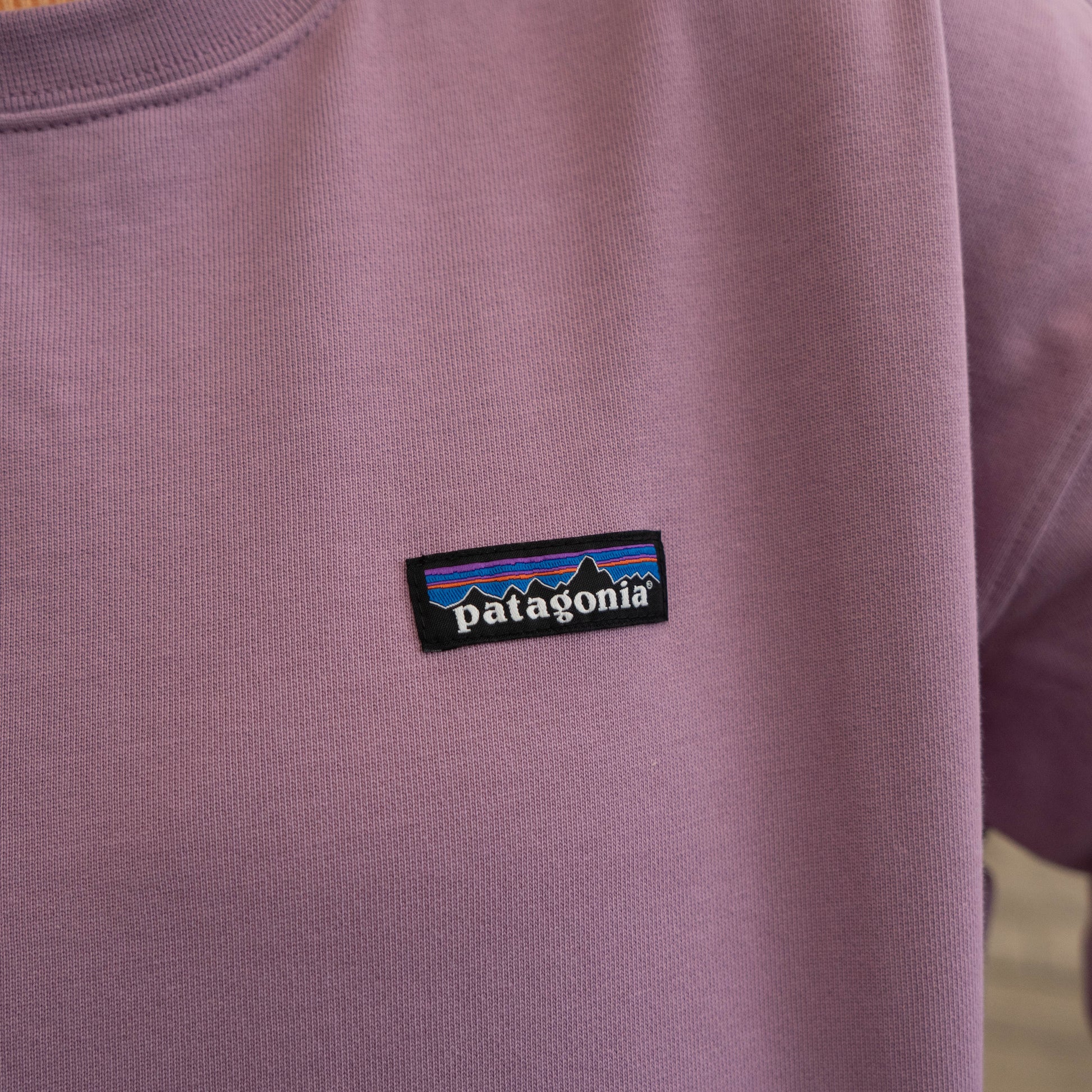 Close-up of Patagonia logo and purple fabric on Dogfish Head crewneck sweatshirt showcasing soft cotton texture and branding