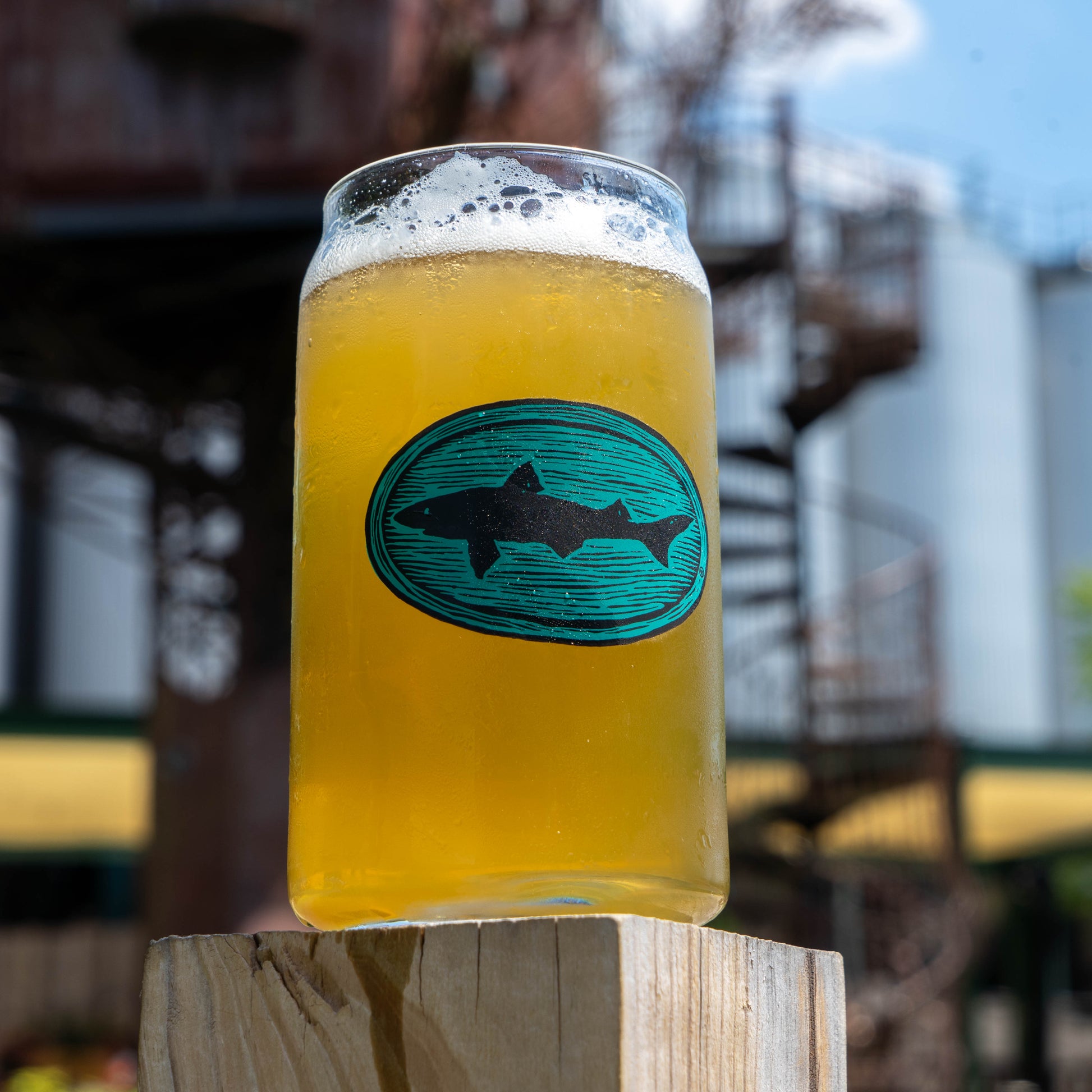 Beer in can glass with a dogfish head logo styled in teal and wood grain