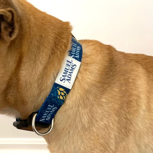 A navy blue dog collar with the Sam Adams logo on it, featuring a double-locking buckle and metal D-ring.